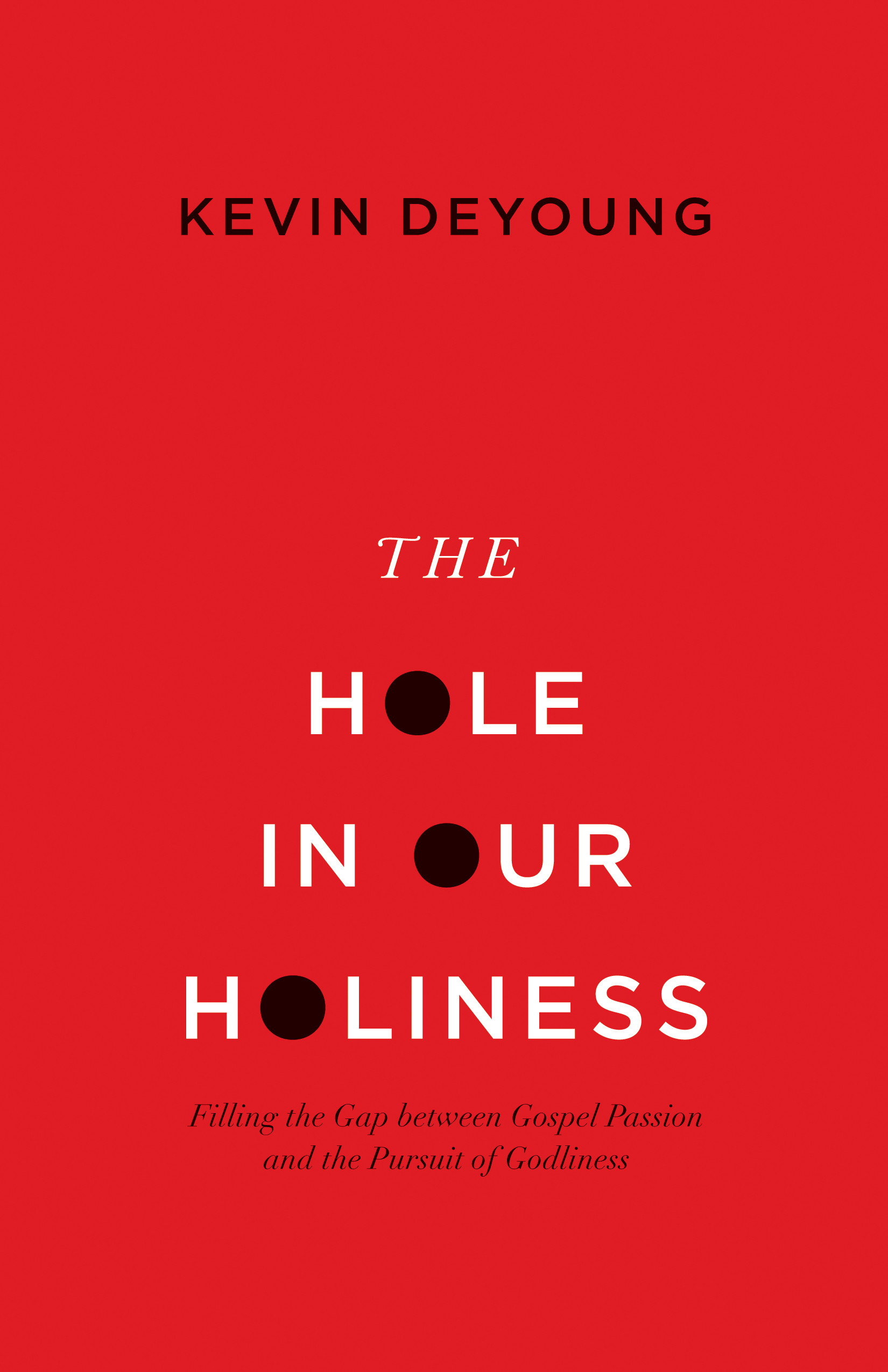 the hole in our holiness cover